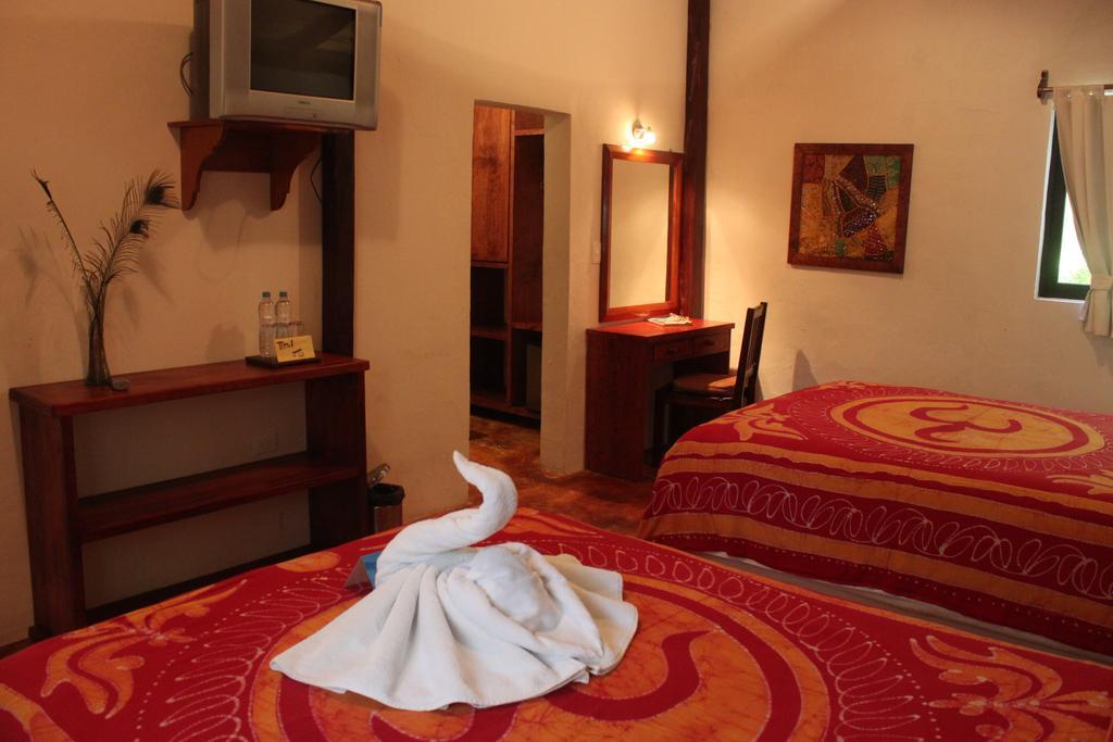 Fusion Beach Hotel プレヤデルカーメン 部屋 写真