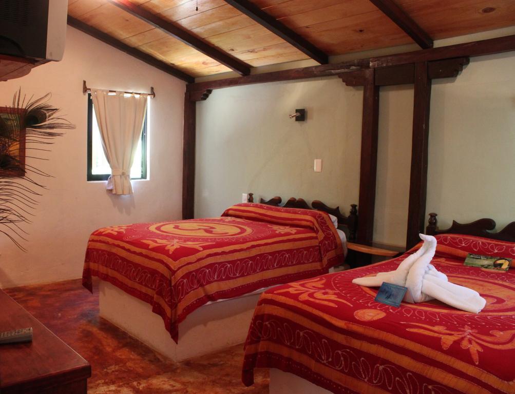 Fusion Beach Hotel プレヤデルカーメン 部屋 写真